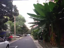 近地铁 现场实勘 中间楼层 随时看房 新上房源