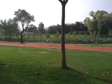 莘庄·沁春园三村·1室·1厅