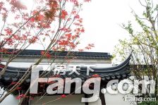 九里兰亭大别墅 地面三层+地一层 前后院子 有车位