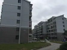 ?临港112㎡稀世王座 4米挑空!丨穹顶之上 破除限界?