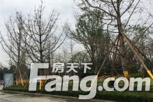 恒大银海湖 3室2厅 南