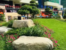 碧桂园保利天启 高层精装南向舒适三房出售