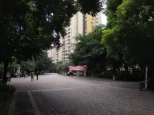 石桥铺珠江华轩一房