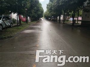 城北阳光小区 2室1厅 西南