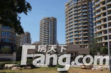 河景房,公摊小,好楼层好房子 洋房