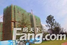 白鹭金岸1期翠湖苑 精装别墅 证过五 诚意急卖