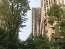 启迪协信城立方 1室1厅 南