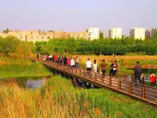 2019年次新房,不临高架,精装,双气,大一室