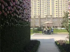 富力金禧悦城 南北通透,采光好 周边匹套完善,,出行方便