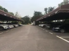 小区环境优美,绿植种类繁多,一年四季都有绿荫,