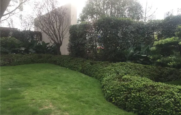 蔡家国际新城 金科集美嘉悦 三室二厅