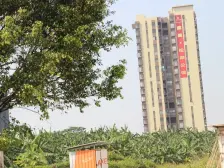 香茶郡二期精装三房!中间楼层,价格可谈