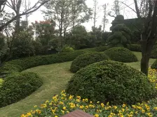 金科金辉美院B区 5室3厅 东南