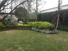 一楼洋房。户型通透 楼层好 金科次新房 环境舒适