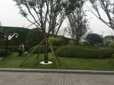 地上3层,地下2层,带大露台,花园100,3个车位。