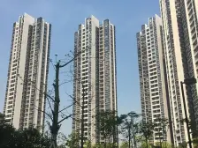 富力天海湾 1室1厅 东