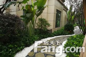 朗基御香3室2厅东北