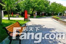 铂景台 3室1厅 南