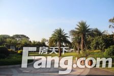 业主诚心出售,户型好,视野宽阔,采光充足