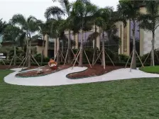 科学谷旁精装三房 朝中庭位置安静 不吵