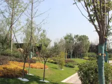 百郦湾 6室1厅 格局紧凑 采光好 交通便利