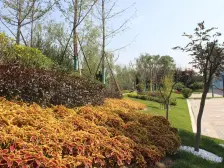 万达茂奥体旁百郦湾小区复试出售能看见黄河