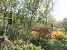 万达茂 奥体 地铁口 四室精装修河景房 产权清晰