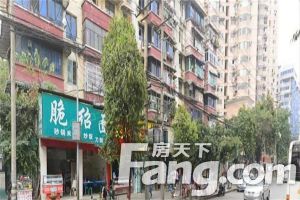 马鞍北路8号 2室1厅 南