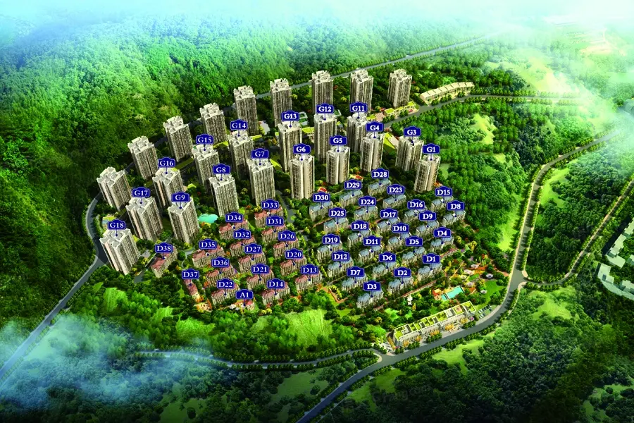 金科·观天下