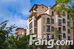 中海外北岛4室1厅北