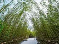 采光充足,观光楼层,精装修,配套设施齐全