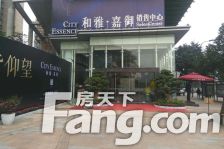 和雅嘉御 1室0厅 东