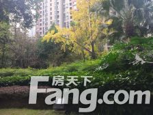 华润二十四城一期 5室1厅 东南 南