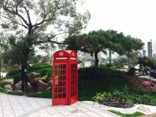 房子是双气 精装 电梯房 采光好