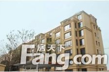 卢浮宫馆 一楼带院带负一 315平院子150平