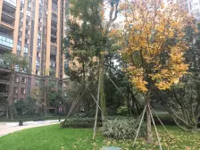 中海右岸二期 3室1厅 北