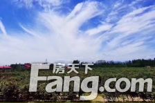 涿州城西 桃源新都孔雀城91平全明三居室采光无遮挡