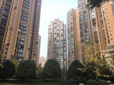 中海右岸 3室2厅 北