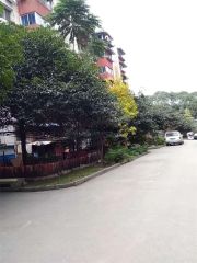 三中家属区 3室2厅 东南