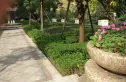 华侨城九熙实景图