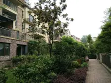 奇峰云邸 1室1厅 南