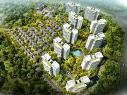 鲁能山海天泰山7号