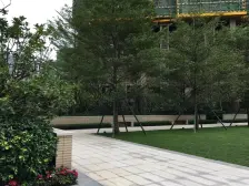 三江府 地铁口 品牌小区 精装4房 南向户型 不近路