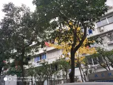 新上好房陆兴小区两房采光好视野好楼层也好