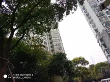 董家渡·阳光翠竹苑·2室·2厅