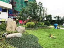 碧桂园小区,邻近珠海,看湿地公园。