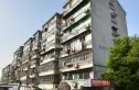 金色阳光实景图