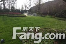 天誉顶楼跃层中庭位置带大露台带子母车位