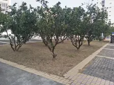 满五年的,近万达广场,宝龙广场,交通便利