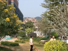 森林公园下,环境优美,空气清新,居住舒适